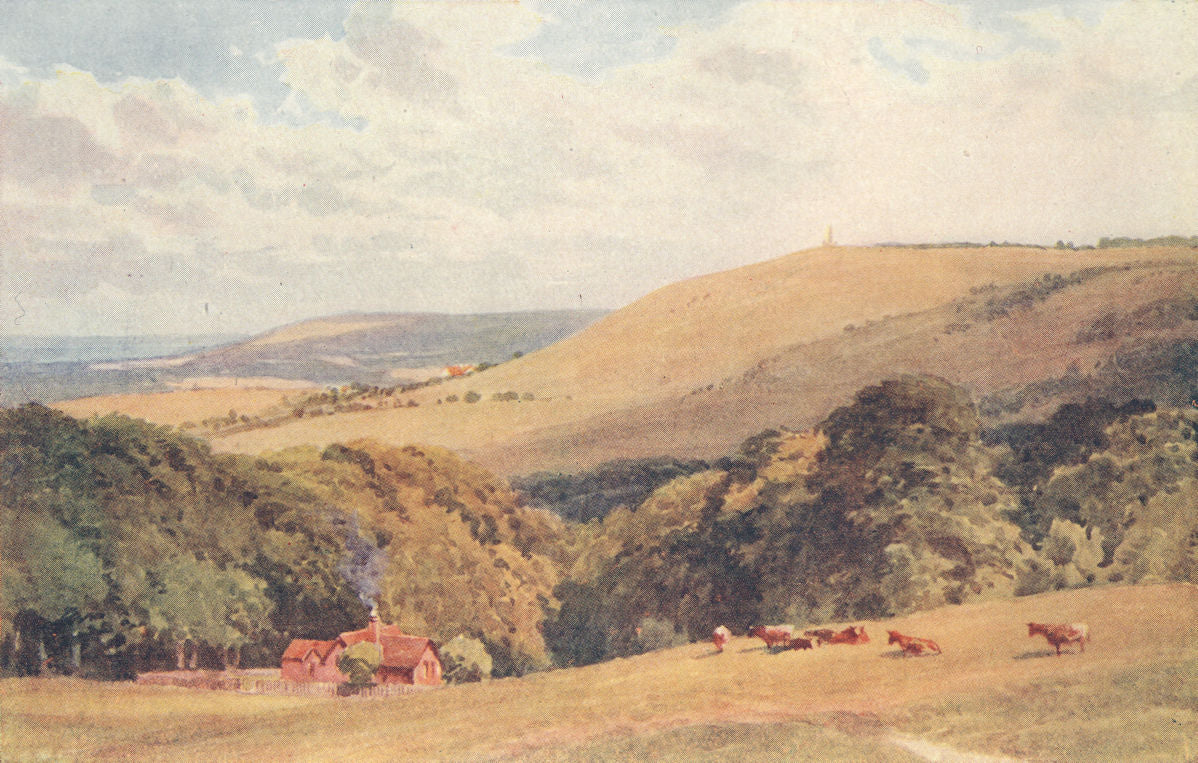 The Downs, Berkshire by Sutton Palmer 1920 old antique vintage print picture